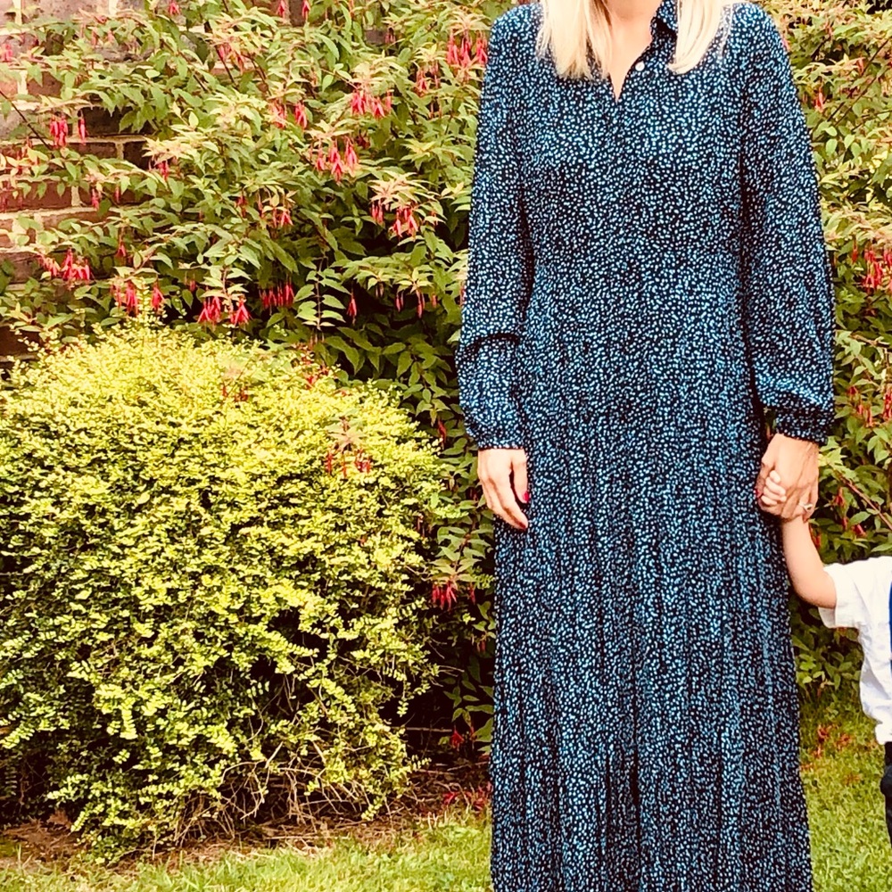 Mint Velvet Dress